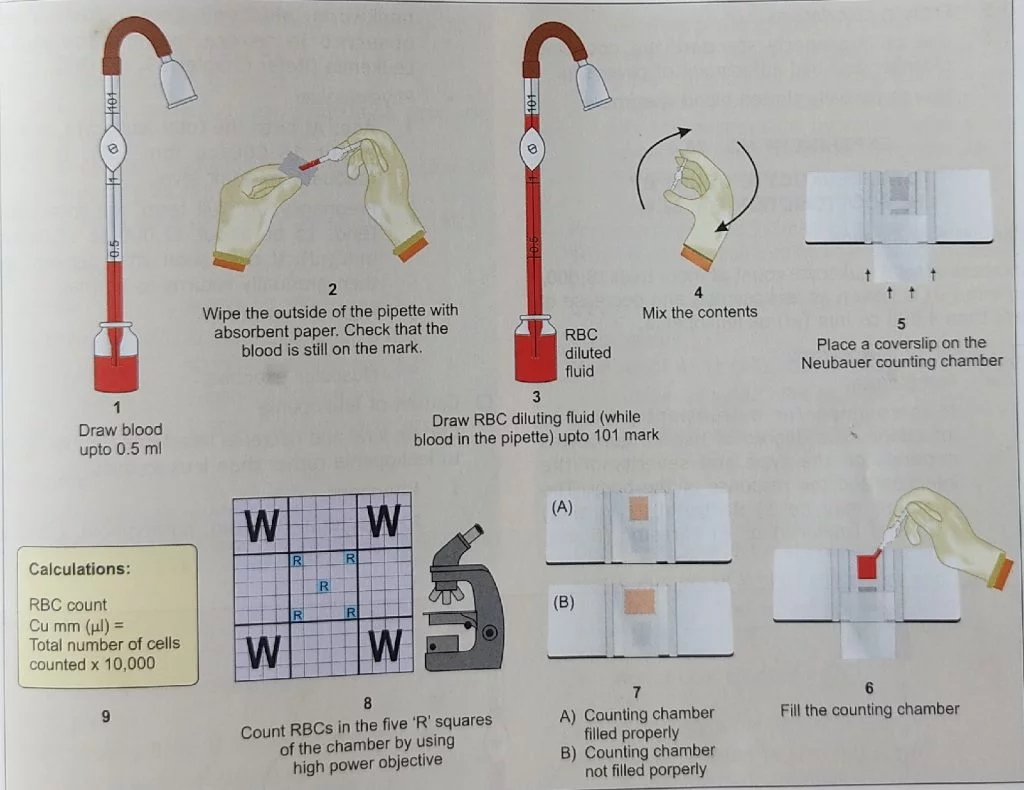 red blood cell count