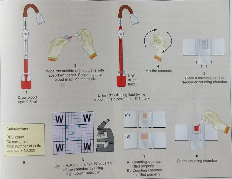 red blood cell count