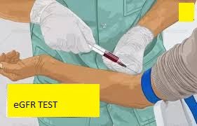 eGFR TEST