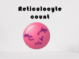 RETICULOCYTE COUNT
