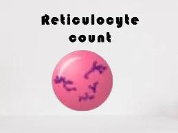 RETICULOCYTE COUNT