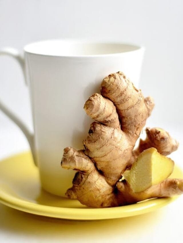 ginger-3966502_640