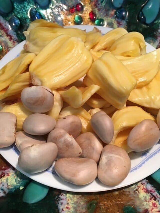 jackfruit-seeds-2177498_640